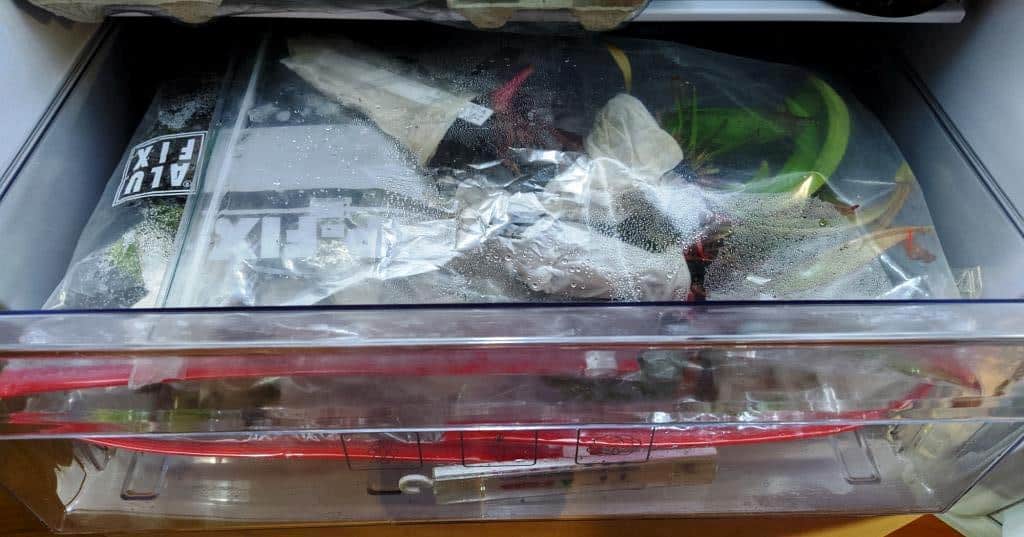 Winter care for carnivorous plants in the refrigerator