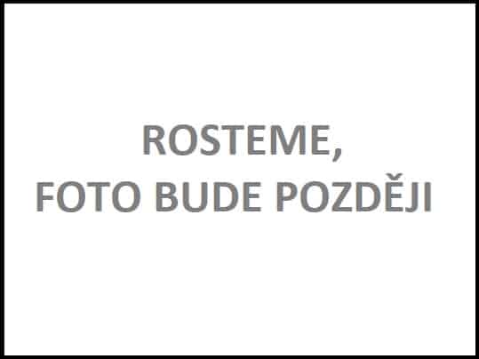 Rosteme, foto bude později