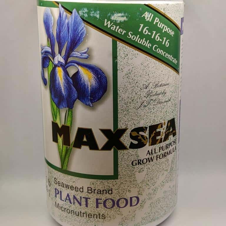 Maxsea 16-16-16